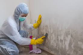 Why You Should Choose Our Mold Remediation Services in Stiles, PA